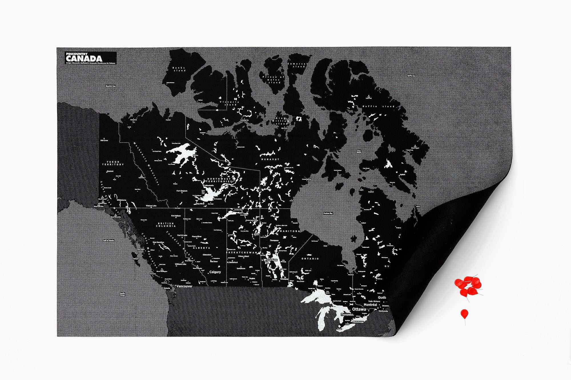 Load image into Gallery viewer, PinCountry Map