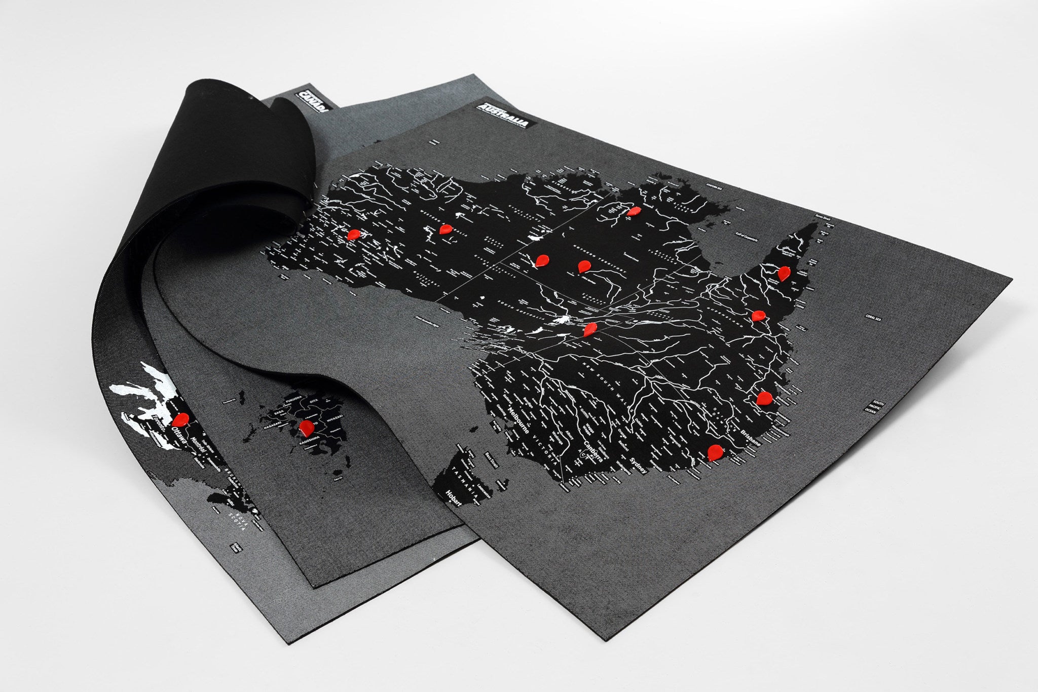 Load image into Gallery viewer, PinCountry Map