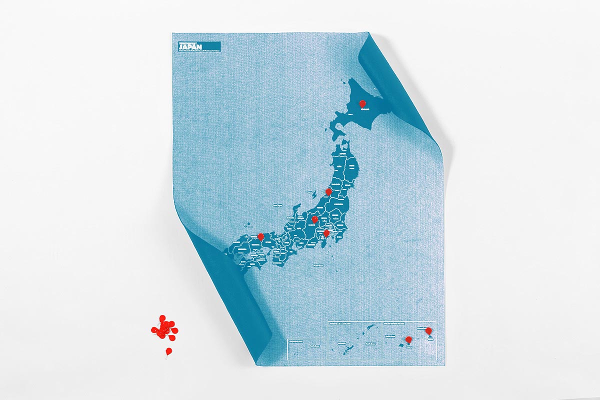 Load image into Gallery viewer, PinCountry Map